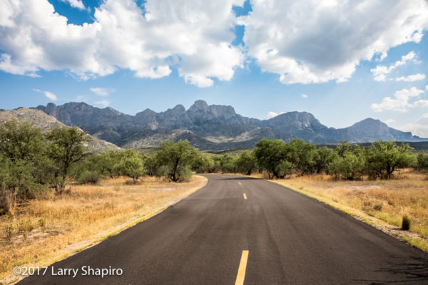 Mountains in Oro Valley AZ