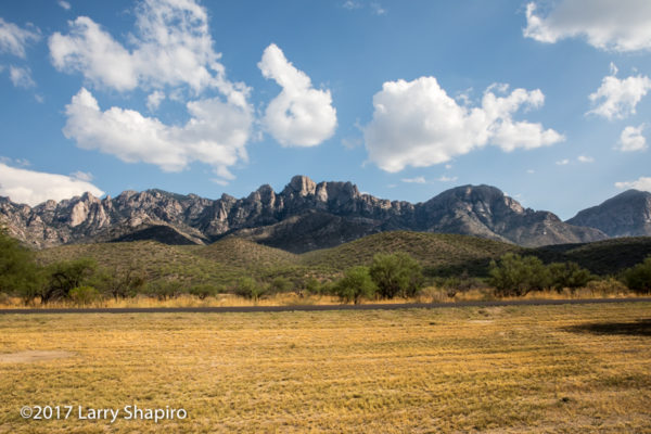 Mountains in Oro Valley AZ
