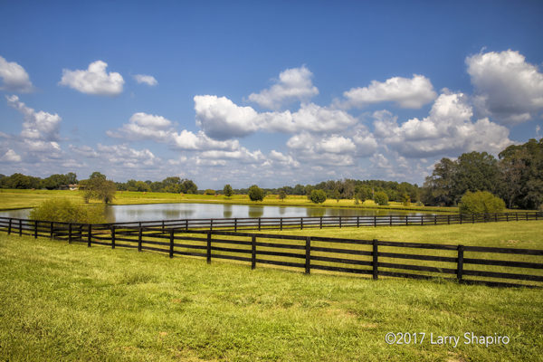 Pike Road Alabama