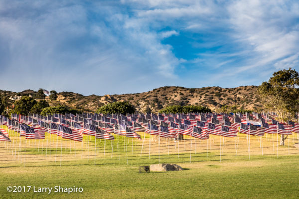 2977 flags to remember the victims of the 9/11 terrorist attacks