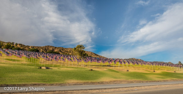 2977 flags to remember the victims of the 9/11 terrorist attacks