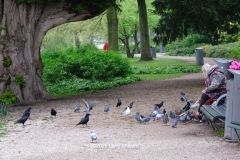a neighborhood park