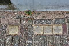 stumbling stones