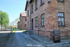 Auschwitz-2908