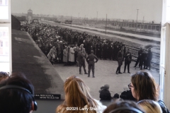 Auschwitz-2943