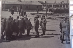 Auschwitz-2947