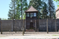 Auschwitz-3001