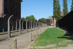 Auschwitz-3004