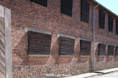 Auschwitz-3010