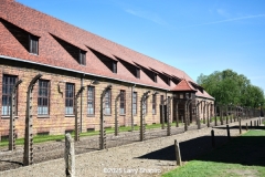 Auschwitz-3025