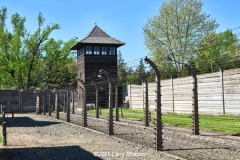 Auschwitz-30327