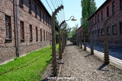 Auschwitz-3102