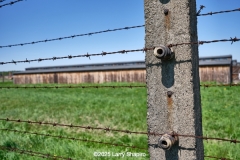Birkeneu-3222
