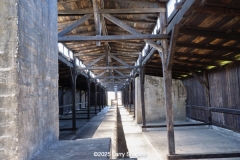 Birkeneu-3238