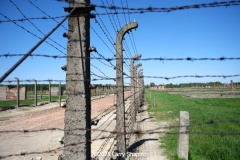 Birkeneu-3363