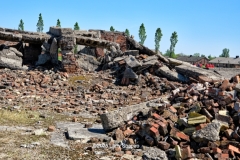 Birkeneu-3475