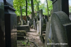 250429-Warsaw-0708A
