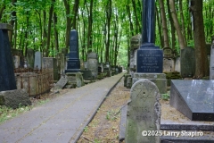 250429-Warsaw-0718A
