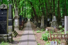250429-Warsaw-3792