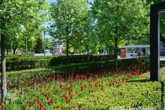 250428-Warsaw-3563