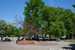 250428-Warsaw-3565