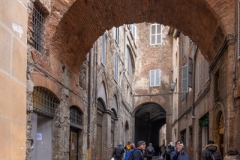 exploring the City of Siena