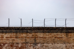 barbed wire on the wall